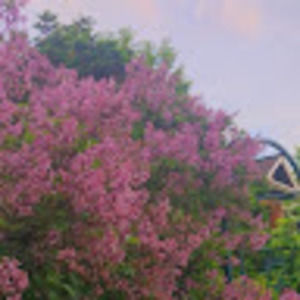 Meet your Posher, Avery